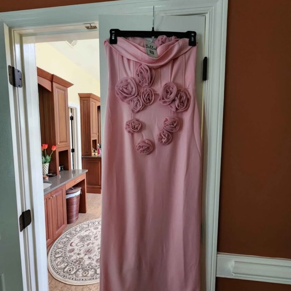 Brand new Bella Barnett dress